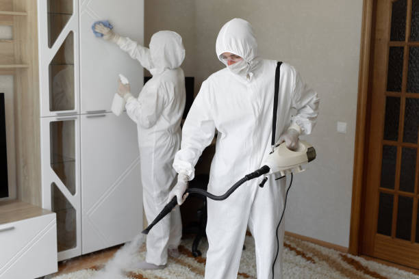 24/7 Emergency Odor Removal experts in Woodbury Heights, NJ