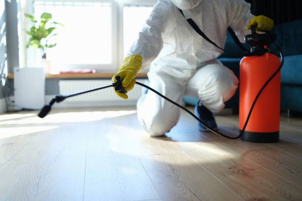 Reliable Odor Removal contractor in Woodbury Heights, NJ by Trauma Clean Pros